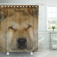 Червени кучета Сладко акита смешно голямо любящо лице Есе завеса за душ