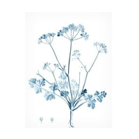 Вижън студио 'Антик Ботаникъл в синьо Ив' платно изкуство