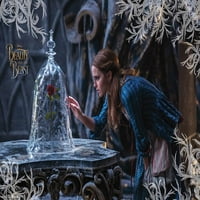 Disney Beauty and the Beast - Rose Wall Poster, 22.375 34