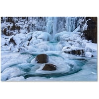 Търговска марка изобразително изкуство снежни водопади платно изкуство от Майкъл Бланшет фотография